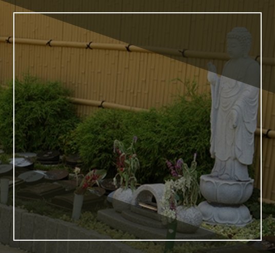 樹木葬墓地について