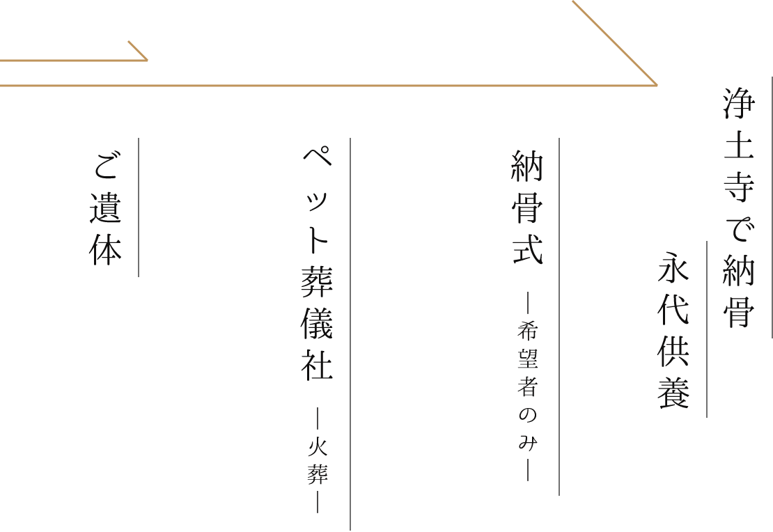ご遺体 ペット葬儀社 ー火葬ー 納骨式 ー希望者のみー 浄土寺で納骨永代供養