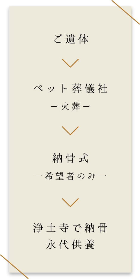 ご遺体 ペット葬儀社 ー火葬ー 納骨式 ー希望者のみー 浄土寺で納骨永代供養