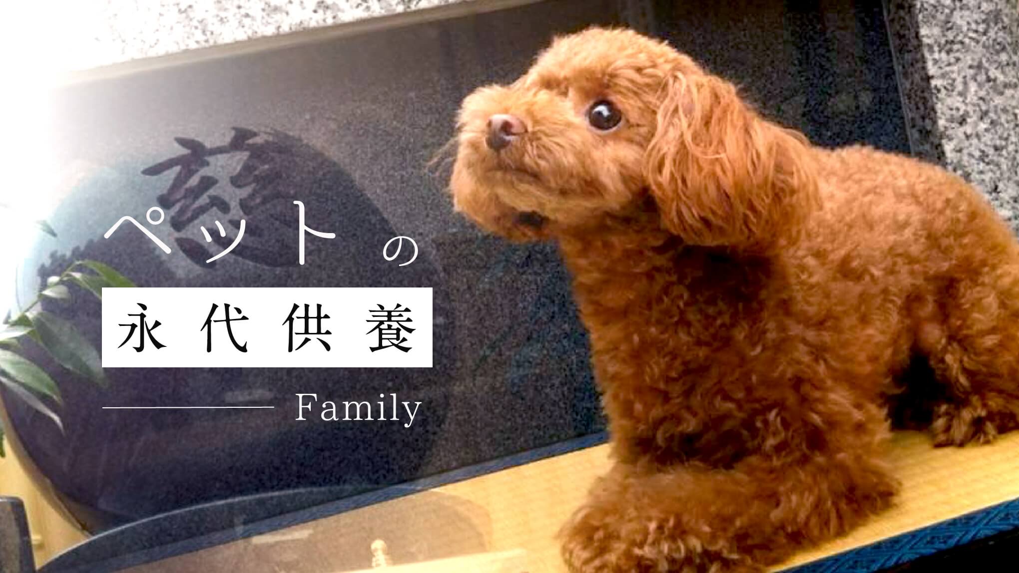 ペットの永代供養Family